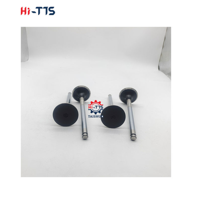 D2366 قطعات معدنی موتور دیزل دریچه ورودی 6504101-0044