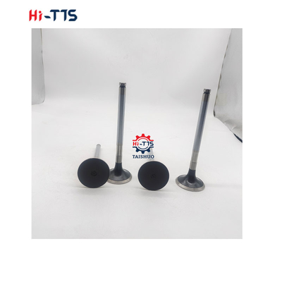 D2366 قطعات معدنی موتور دیزل دریچه ورودی 6504101-0044